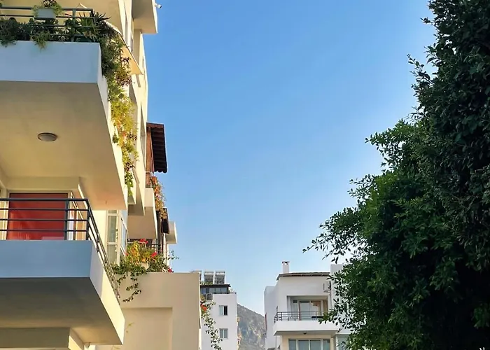 Rix Sunny كيرينيا